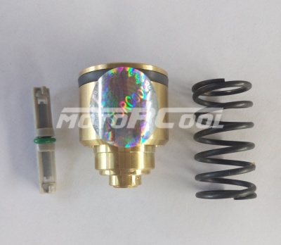 RC-U08244 Клапан компрессора L=34 mm, used for scroll series of compressors, Honda accord, Ford, Jaguar, Mazda, Product length: 3.4cm, With spring and tube, OEM: 131062